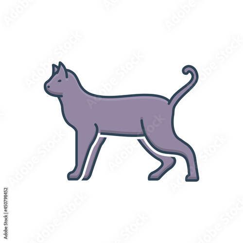 Color illustration icon for cat