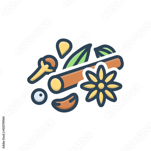 Color illustration icon for garam masala