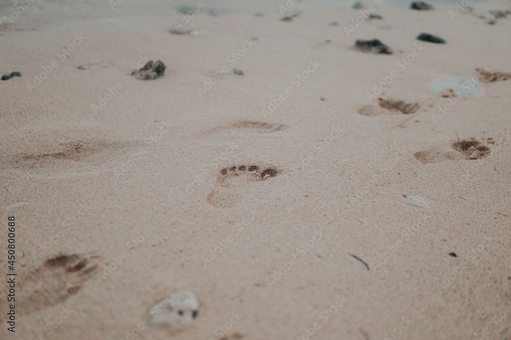 footprints in the sand footprints in the sand