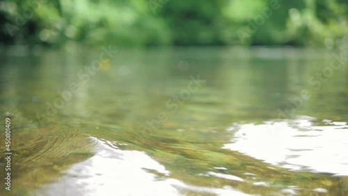 Water clear stream river flowing in the deep forest. Close up, Slow motion