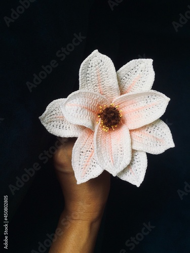 Closed up handmade Magnolia crochet, hand held, on black background