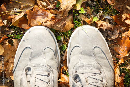 Comfortable gray leather shoes on grass with autumnal leaves
