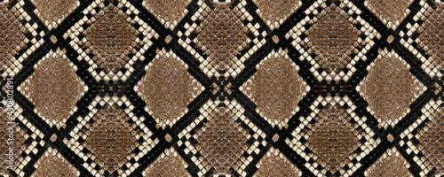 Snake skin pattern texture repeating seamless monochrome. Texture snake. Fashionable print. Fashion and stylish background