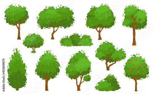 Cartoon green trees  bushes and hedges  forest or garden tree. Summer foliage plants  backyard shrub and bush  garden park plants vector set. Growing greenery  botanical elements isolated