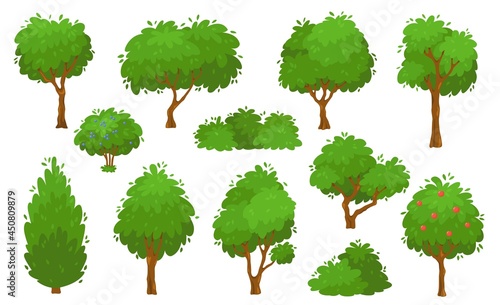 Cartoon green trees, bushes and hedges, forest or garden tree. Summer foliage plants, backyard shrub and bush, garden park plants vector set. Growing greenery, botanical elements isolated