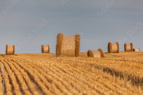 Fototapeta Naklejka Na Ścianę i Meble -  View of the Masurian fields.