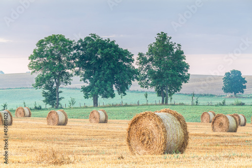 Fototapeta Naklejka Na Ścianę i Meble -  View of the Masurian fields.