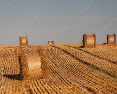 Fototapeta Naklejka Na Ścianę i Meble -  View of the Masurian fields.