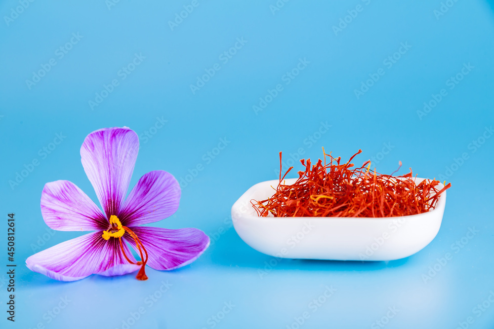 Crocus saffron and dry saffron threads on a blue background. Studio photography. Place to write text. Crocus saffron and dry saffron threads on a blue background. Studio photography. Place to write text.