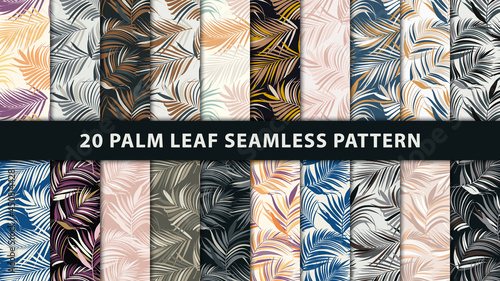 Collection palm leaf vector seamless pattern