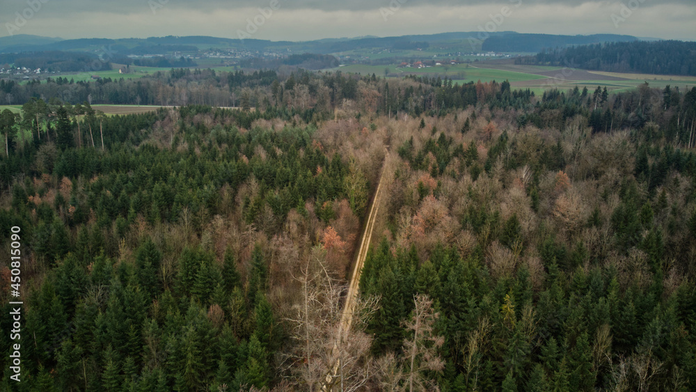 Fototapeta premium Drohnenflug über dem Wald