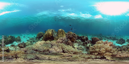 Underwater world with coral reef and tropical fishes. Travel vacation concept 360 panorama VR