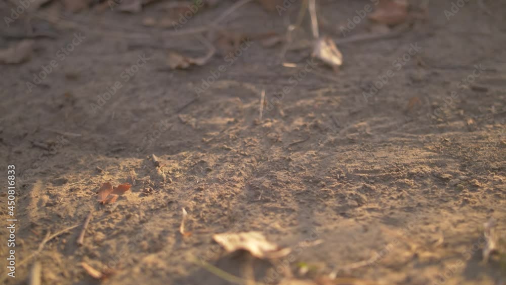 A bicycle wheel rides on a dusty track. Slowmotion video 2x A bicycle wheel rides on a dusty track. Slowmotion video 2x