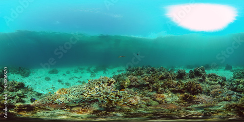 Fototapeta Naklejka Na Ścianę i Meble -  Underwater fish garden reef. Reef coral scene. Coral garden seascape. Philippines. 360 panorama VR
