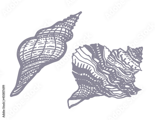 Set of monochrome ornamental hand drawn seashell of freehand ink style isolated on white. Amazing inhabitant of the seabed, cockleshell for logo, icons, postcards. Stock vector illustration. 
