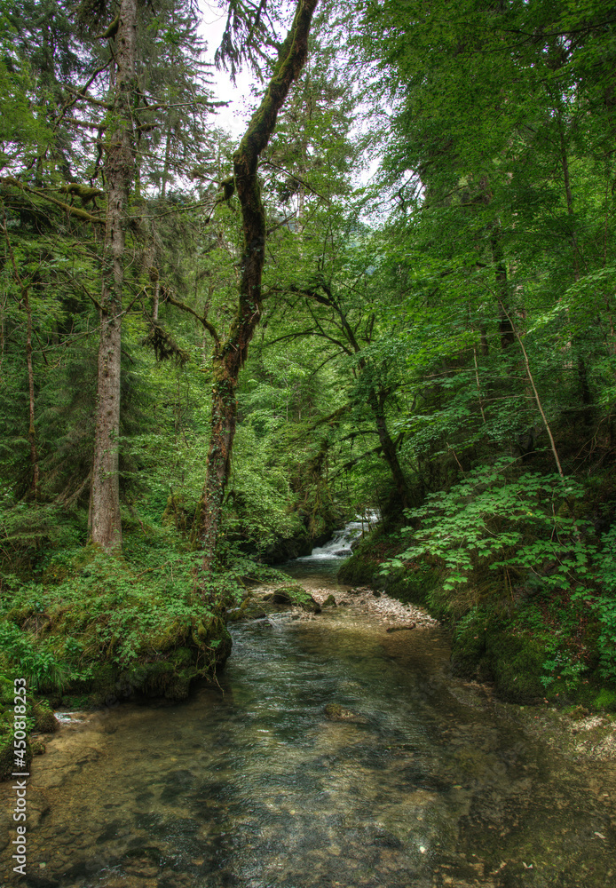 Le Dessoubre dans le cirque de Consolation, Doubs, France Le Dessoubre dans le cirque de Consolation, Doubs, France