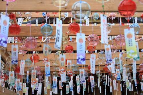 Each furin has a different sound.