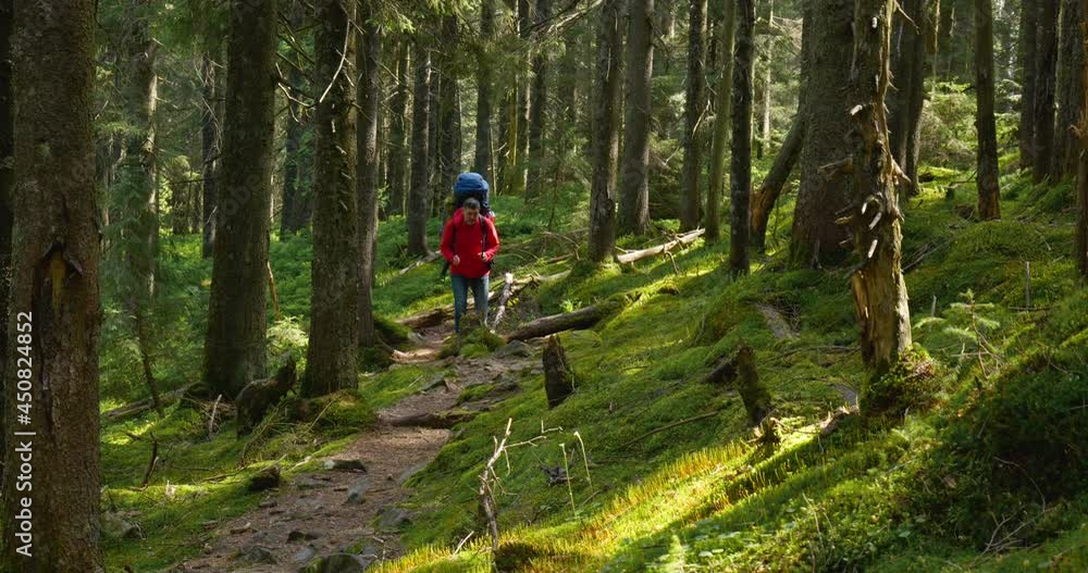 Tourist guy with a backpack walks along a trail in a beautiful forest Tourist guy with a backpack walks along a trail in a beautiful forest