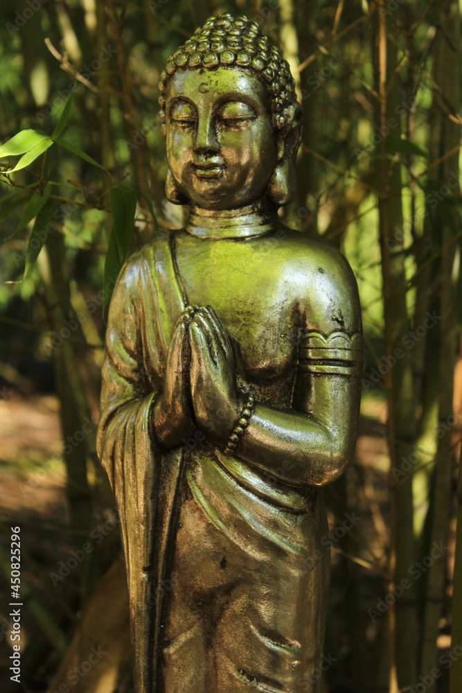 Buddha Statue in bamboo forest park