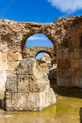 Fototapeta Naklejka Na Ścianę i Meble -  Ruins of Carthage. Ruins of Antonines thermal Baths at Carthage. Tunisia, Africa