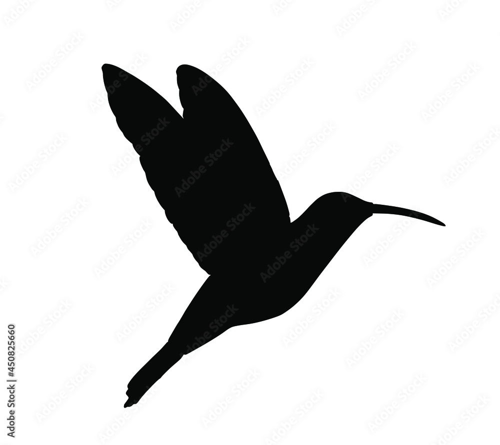 Hummingbird vector silhouette illustration isolated on white background. Tropical little bird colibri symbol. Hummingbird vector silhouette illustration isolated on white background. Tropical little bird colibri symbol.