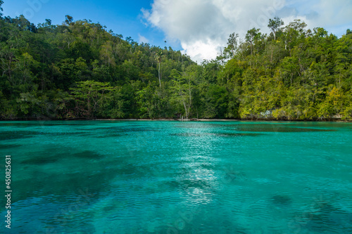 A secret sandy beach, surrounded by turquoise waters and a landscape of immense tropical jungle, Gam Island, Raja Ampat, West Papua, Indonesia