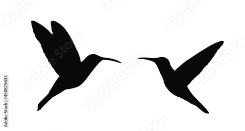 Couple in love hummingbird vector silhouette illustration isolated on white background. Tropical little bird colibri symbol.Smallest bird family.