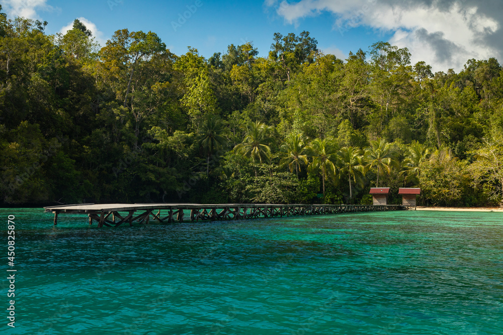 A jetty makes its way from the sea onto a solitary beach, surrounded by tropical jungle, Gam Island, Raja Ampat, West Papua, Indonesia