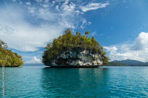 Small tropical island, and seascape, weathered by sea water, covered with lush vegetation, Gam Island, Raja Ampat, West Papua, Indonesia