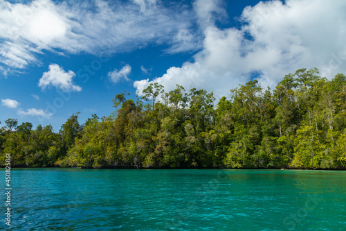 Fototapeta Naklejka Na Ścianę i Meble -  The coastline on Gam Island, covered with life and intense rainforests that blow the imagination, Raja Ampat, West Papua, Indonesia