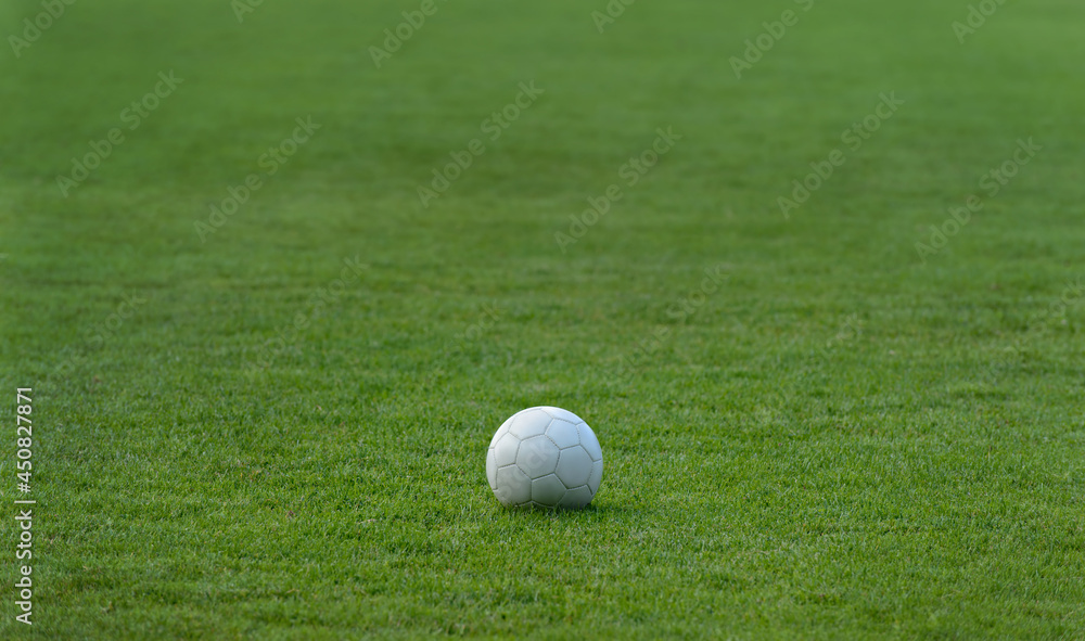 soccer ball on green grass soccer ball on green grass