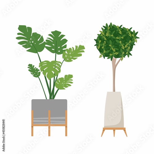 A set of stylish fashionable indoor plants for the house. Isolated on a white background. Dracaena, monstera, boxwood, spatifilum, ficus benjamin, pineapple, zamiokulkas. Color flat vector