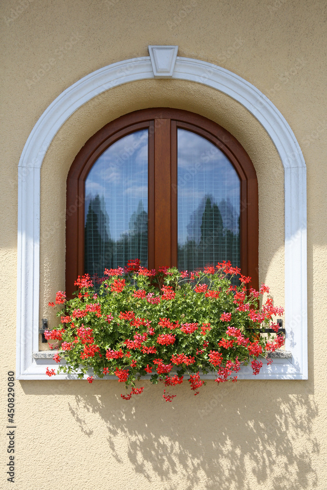 Window at home with beautiful flowers 