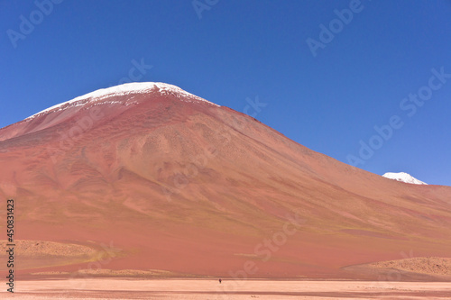 Altiplano Lakes  Bolivia  South America