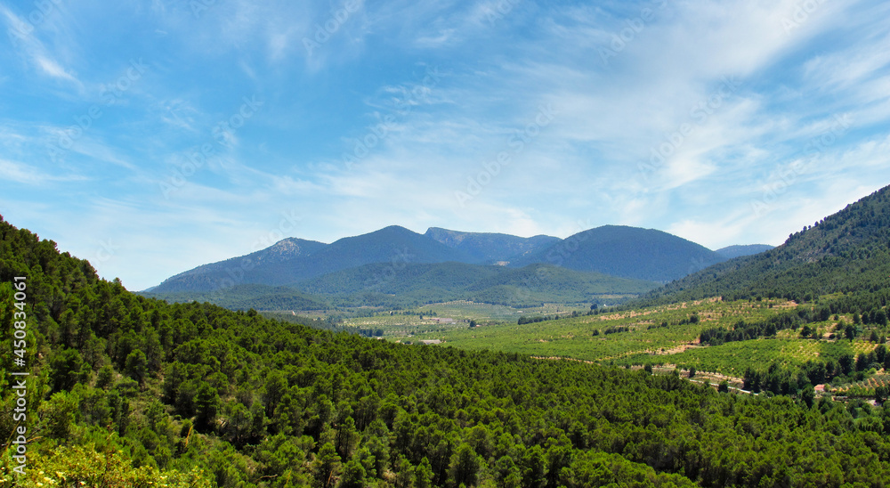 Panorama view of Sierra Espuña during a sunny day, from the full of green trees Castellar Mountain, in Murcia. 