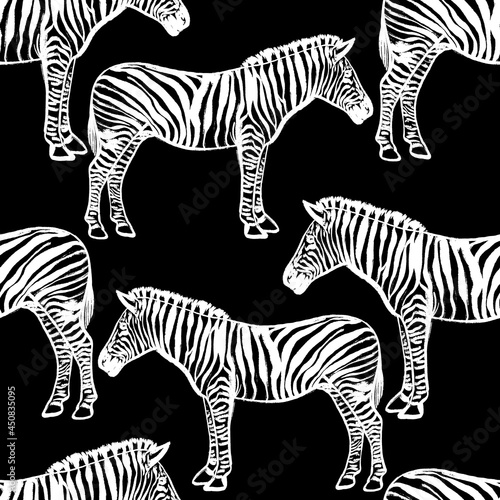 Seamless black and white pattern with african zebras