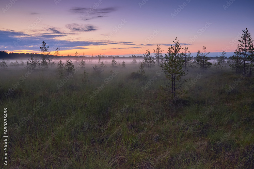 Foggy summer white night on swamp among European nature filled with colored light.