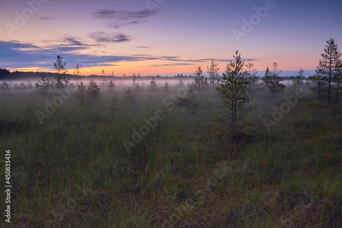 Foggy summer white night on swamp among European nature filled with colored light.