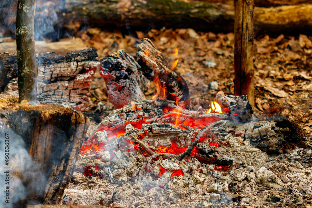 texture flame from burning logs at night