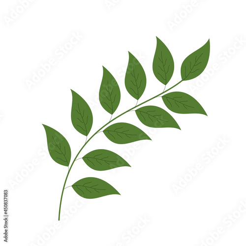 Vector isolated green branch with simple leaves