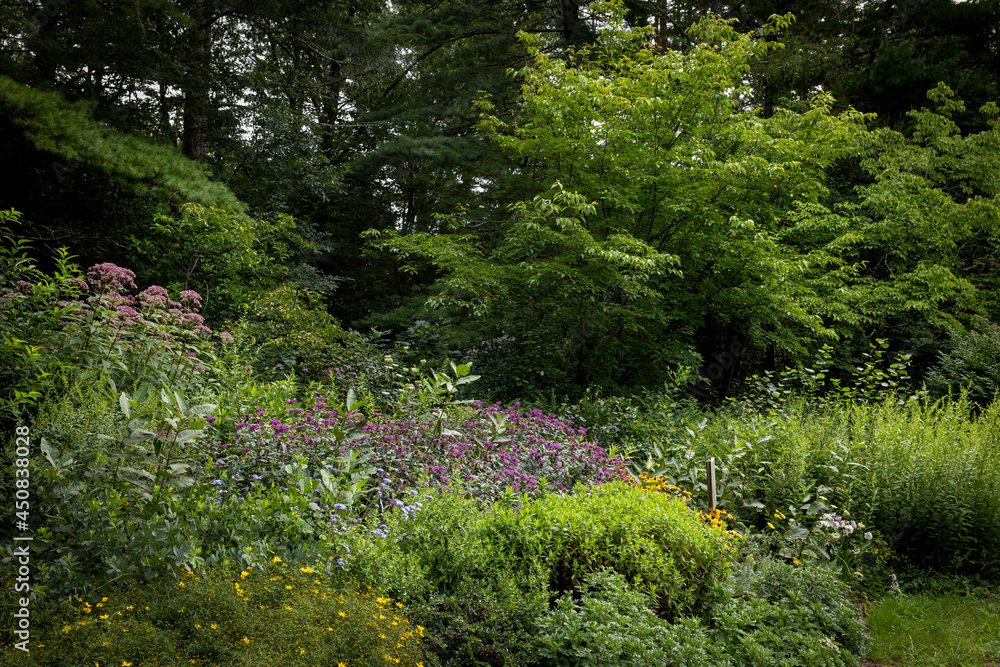 Fototapeta premium Yard