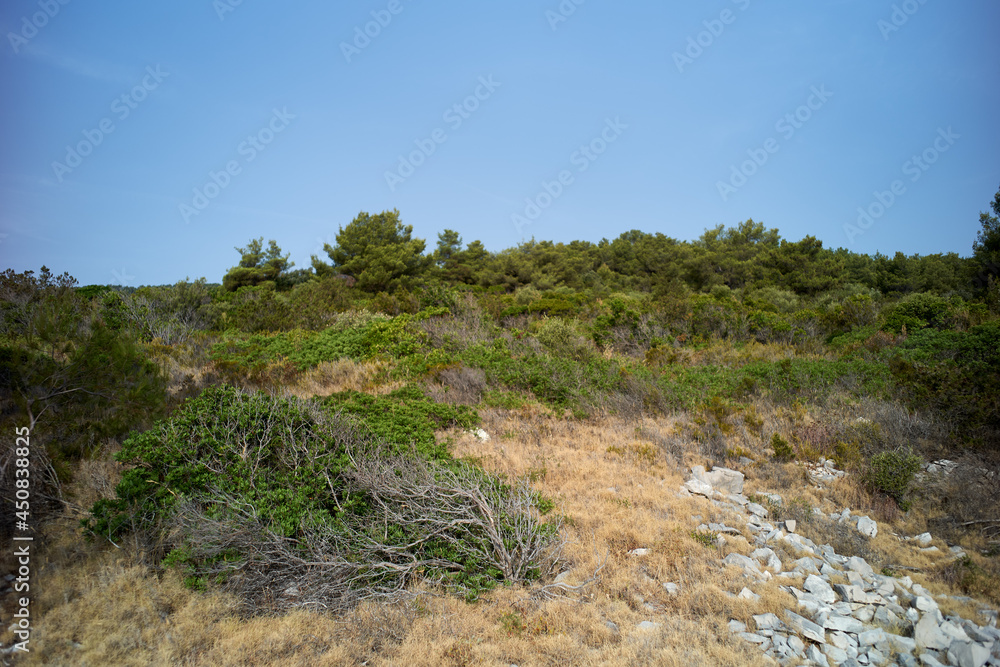 Stone wall beach in the Croatia coast Stone wall beach in the Croatia coast