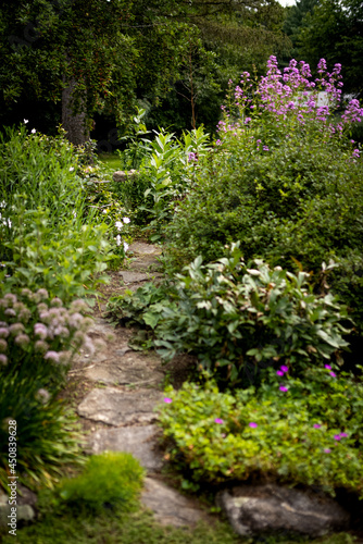 Fototapeta Naklejka Na Ścianę i Meble -  path in the garden