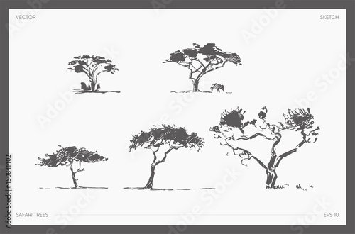 Set of detail hand drawn vector safari tree acacia
