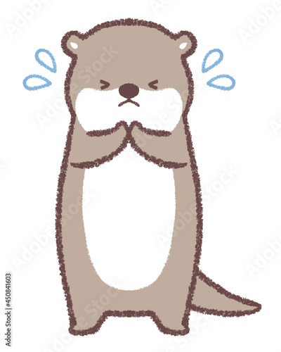 Fototapeta 謝るカワウソ