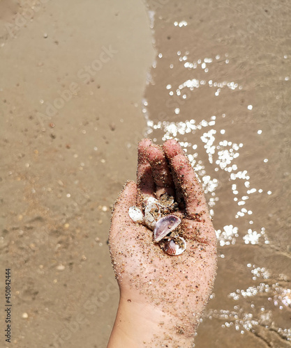 Human hand with sand and shells at beach