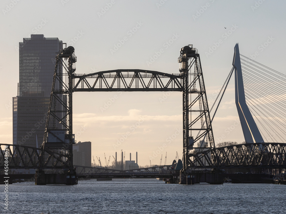Fototapeta premium bridge in the evening, Rotterdam 