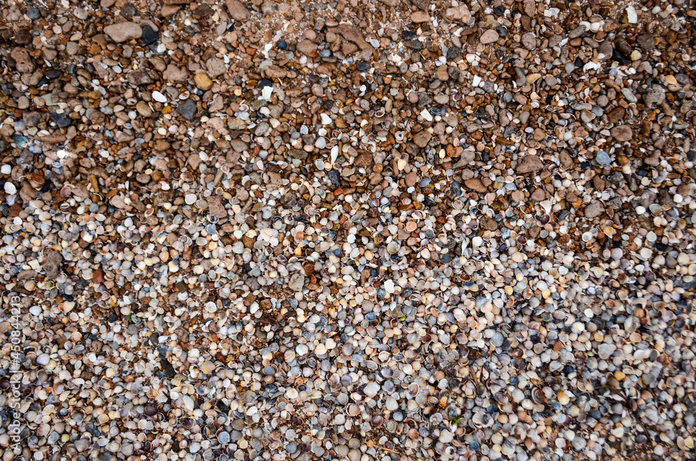 texture, shells, stones, background, foam, wave texture, shells, stones, background, foam, wave