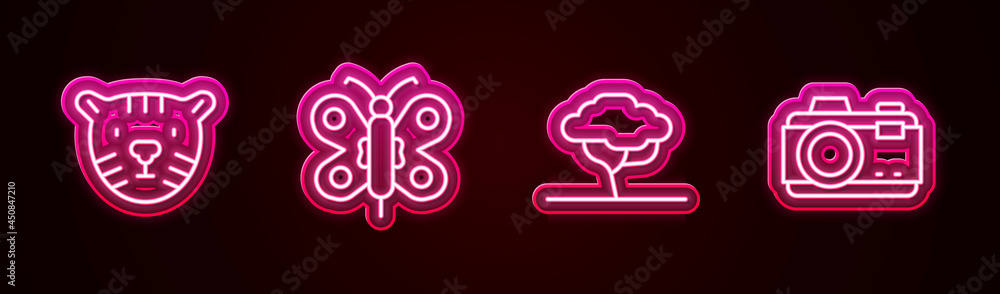 Set line Tiger head, Butterfly, African tree and Photo camera. Glowing neon icon. Vector Set line Tiger head, Butterfly, African tree and Photo camera. Glowing neon icon. Vector