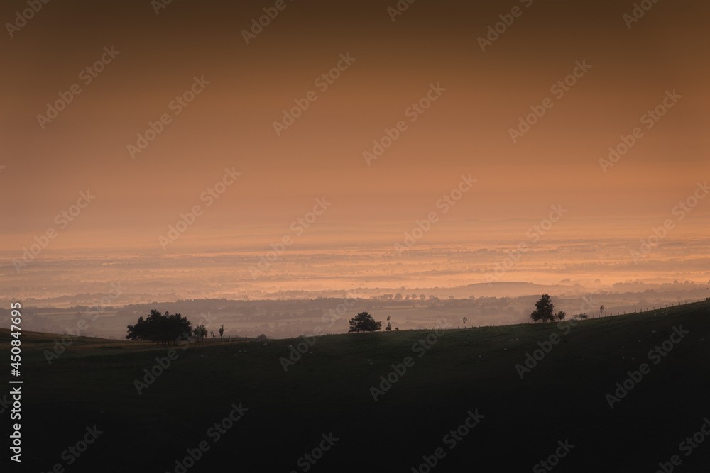 Silhouettes of three trees on the hill during sunrise dusk Silhouettes of three trees on the hill during sunrise dusk